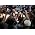 Thumbnail image of Susan Boyle