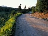 Dirt Road Through the Boreal Forest, Northern Forest, Vermont, USA Photographic Poster Print by Jerry & Marcy Monkman, 42x56
