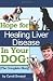 51aM5e1cAEL. SL75  Fatty Liver Solution :: 75% Commission :: All Natural Program