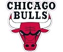 Chicago Bulls Glass Tatz Mini-Cutz Window Decal