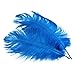 10pcs Home Decor Blue Ostrich Feathers