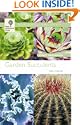 Garden Succulents