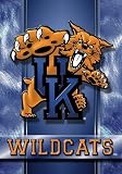 University of Kentucky Wildcats UK Large House Flag