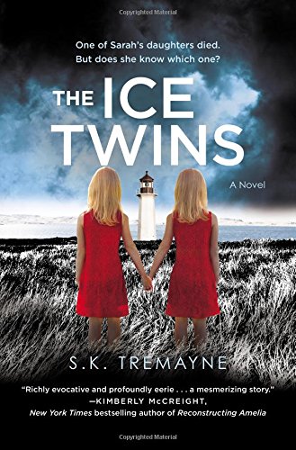 The Ice Twins: A Novel