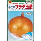 タマネギ (玉葱) 一代交配超極早生 早どりサラダ玉葱 (062)