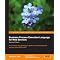 Business Process Management and SOA