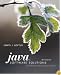 Java Software Solutions: Foundations of Program Design (6th Edition)