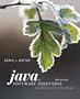 Java Software Solutions: Foundations of Program Design (6th Edition)