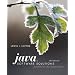Java Software Solutions: Foundations of Program Design (6th Edition)