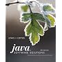 Java Software Solutions: Foundations of Program Design (6th Edition)