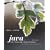 Java Software Solutions: Foundations of Program Design