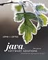 Java Software Solutions: Foundations of Program Design (6th Edition)