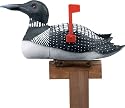River's Edge Loon Mailbox