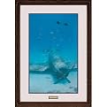 Place Of Refuge Framed Print By Randall Scott