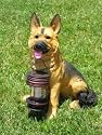 Tricod German Shepherd Dog with Lantern Solar Light