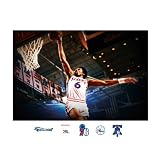 NBA Philadelphia 76ers Julius Erving Mural Wall Graphic