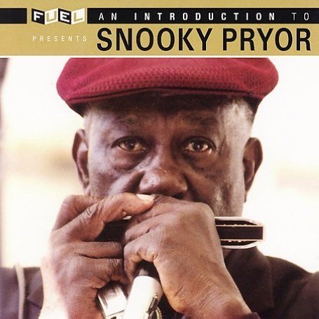 Snooky Pryor - It Hurts Me Too Lyrics - Zortam Music