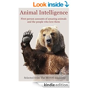 Animal intelligence book cover