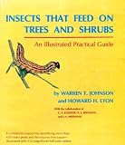 Insects That Feed on Trees and Shrubs