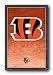 CINCINNATI BENGALS 07 NFL TEAM LOGO POSTER 22.5x34 4318