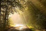 Eternity Road: Writer in the Storm