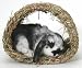 Pet Supplies : Woven Grass Hide-A-Way Hut