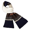 Men's Multi Stripe Scarf - Blue