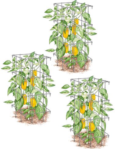 Pepper and Eggplant Cages, Set of 3