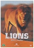 Wildlife Paradise - Lions