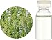 生活の木 和精油薄荷(ハッカ) 50ml 生活の木 和精油薄荷(ハッカ) 50ml