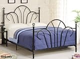 Queen Size Metal Bed with Rails in Black Finish