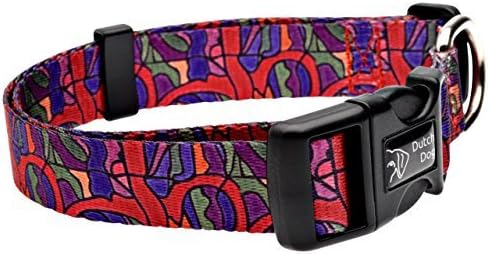 Dutch Dog Amsterdam Eco Friendly Van Heemskerck Dog Collar, 15-20-Inch, Medium by Dutch Dog Amsterdam
