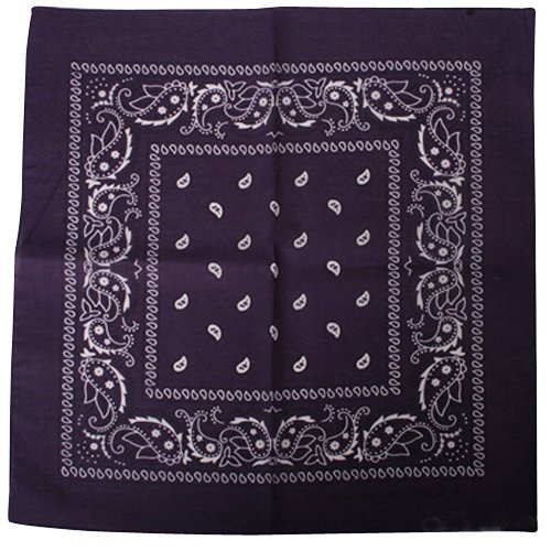 Bandanas / Purple Paisley W12S20B