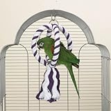 Romp n Rope Series Bird Toy Top Spin