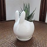 私の家族 ミニうさぎセラミック多肉植物花ポット ガーデン磁器ソーサー装飾プランター