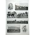DONCASTE HARSE RACE MEETING Old Print 1904