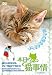 本日の猫事情 [DVD]