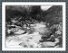 Historic Print (L): [Two men fishing in creek in Ontario, California(?)]
