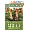 A Perfect Mess: Why You Don't Have to Worry About Being Good Enough for God