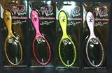 Wet Brush from the Wet Brush - Metallics Collection (Colors May Vary)