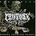 Reborn Through the Flames / Bloodhunt
