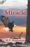 Miracle, the novel