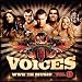 WWE The Music Vol 9. - Voices