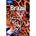 A Brazil Lover's List