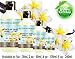 MONOI de TAHITI VANILLA TIKI OIL 100 % Natural / 100% PURE BOTANICALS. 2 Fl.oz.- 60 ml. For Skin, Hair and Nail Care.