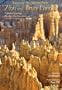 Zion and Bryce Canyon - Seasons of The National Parks