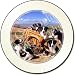 NEW-BORDER COLLIE PUPPY DOGS Tax Disc Holder