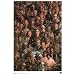 Star Wars ~ Star Wars Poster ~ Rare Art Collage of Characters!!!~ 24" x 36"