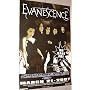 Evanescence Poster - Fallen the Open Door