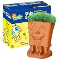 Chia Pet Spongebob